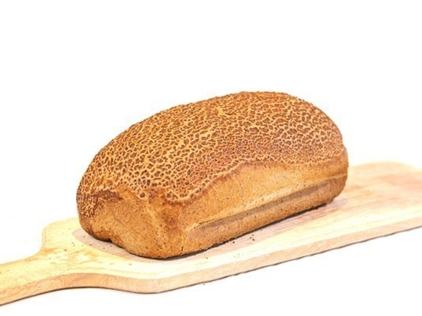 Vloerbruin tijger