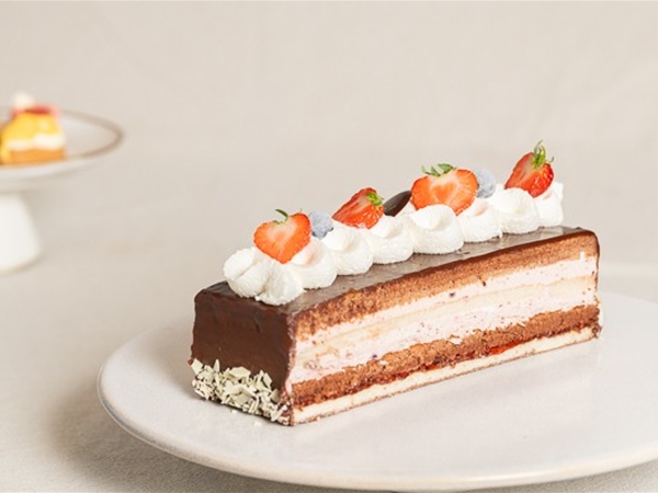 Rood fruit chocolade schnitt